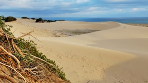 Canon Trail, image Shaen Adey 0245