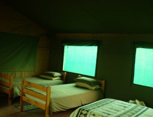 Safari Tent – 4 sleeper